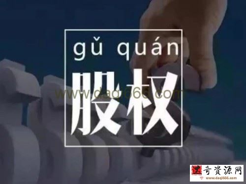 臧其超-股权设计与盈利体系 20节视频