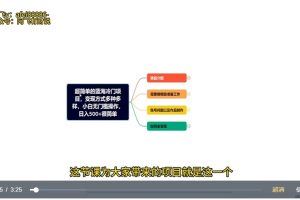 超简单的蓝海冷门项目，变现方式多种多样，小白无门槛操作日入500+很简单