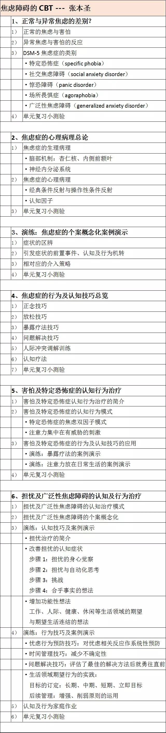 【完结】CBT+普及计划 认知行为治疗系统培训课：120课时 理论+案例演练和讲评 高清视频