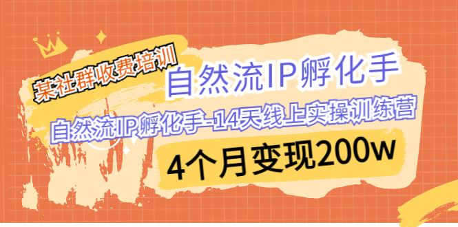 自然流IP孵化手-14天线上实操训练营4个月变现200w