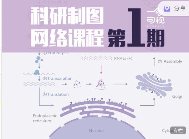 【红包]《一目可视-科研制图网络课程第一期】