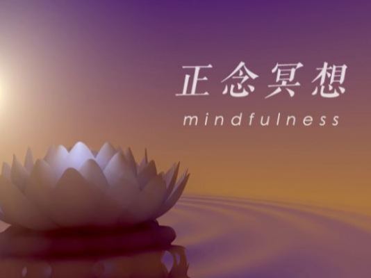 【《抖音易知课堂-正念冥想终极课》】
