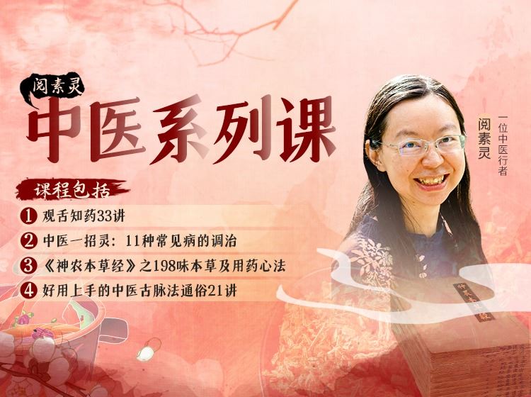 【捐赠价《答摩-阅素灵丨中医系列课》】
