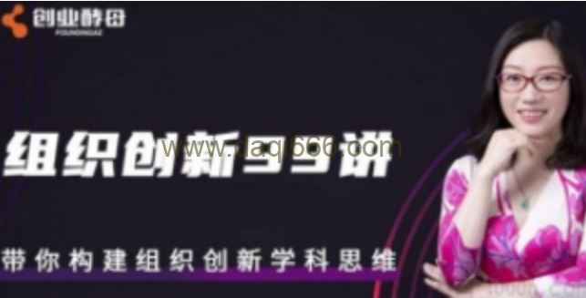 组织创新99讲_张丽俊【完结】