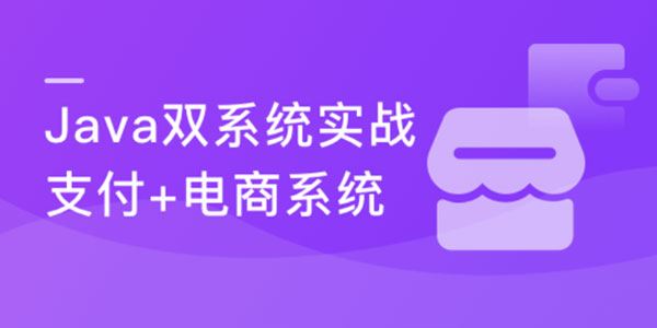 廖师兄《实战支付与电商双系统》玩转Java技术栈