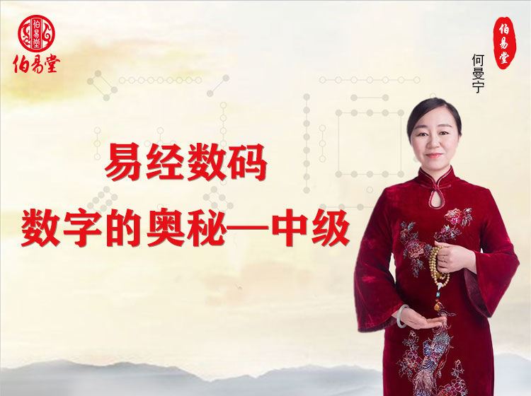 【捐赠价《伯易堂-易经数码-数字的奥秘-中级》】