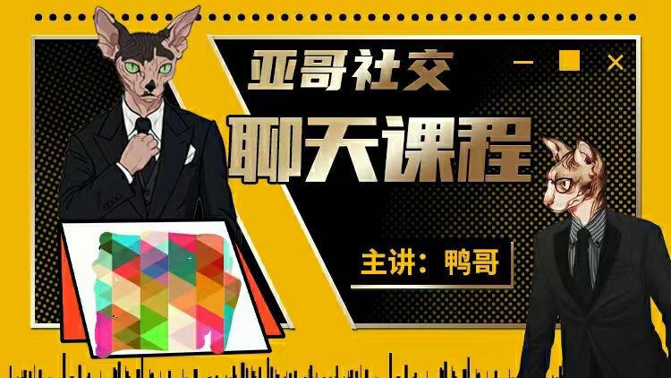 鸭哥 聊天课程 情感会员 恋爱聊天模型全流程，一步一步详解！30集视频课