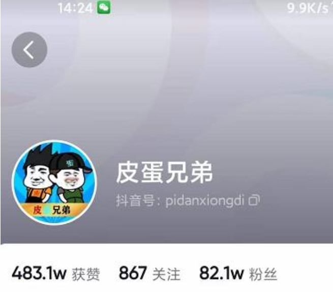 沙雕动画-皮蛋兄弟熊猫人动画教学制作，全套素材文案教程分享