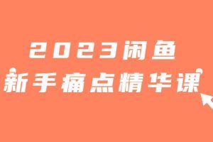 2023闲鱼新手痛点精华课程（18节课）
