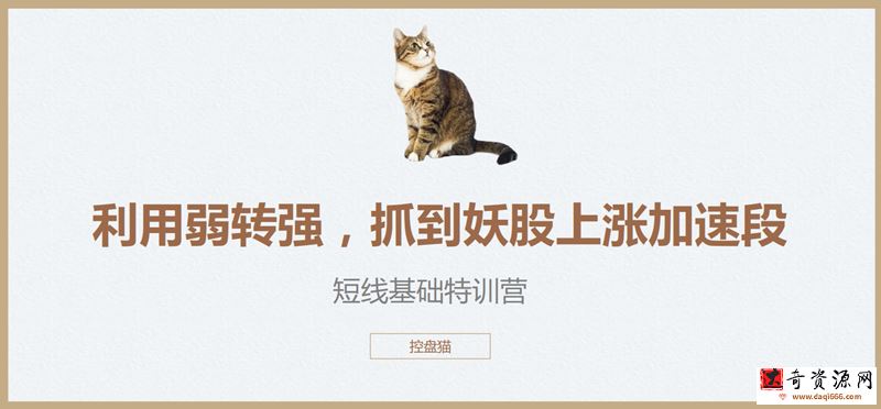控盘猫短线基础特训营，控盘猫翻倍计划