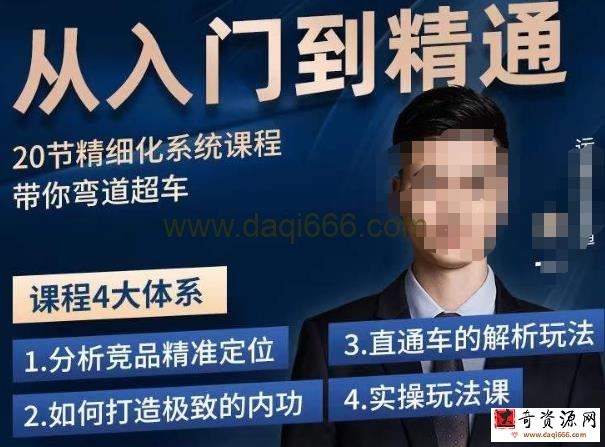 龙一·从入门到精通拼多多运营系列课，0-100的运营实操技巧，精细化系列课程带你弯道超车