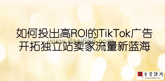 如何投出高ROI·TikTok广告，开拓独立站卖家流量新蓝海
