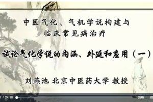 中医气化.气机学说构建与临床常见病治疗：刘燕池-北京中医药大学（全19讲·完整版）
