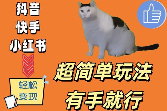 超简单玩法，有手就行，靠猫咪视频日入500+【项目拆解】