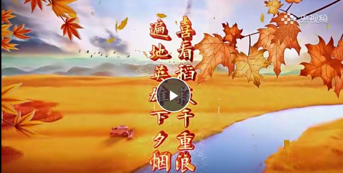 【完结】中国诗词大会