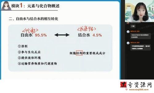 2022高考高三生物段瑞莹暑假