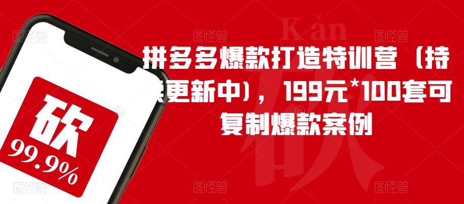 拼多多爆款打造特训营，199元*100套可复制爆款案例