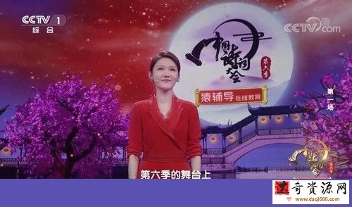 中国诗词大会第六季（2021完结）