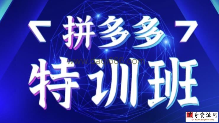 星雪教育·拼多多基础班+进阶班+突破班，用系统的学习模式快速改变现状价值3580元