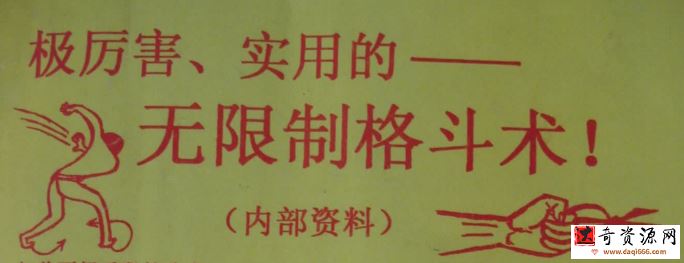 陈鹤皋格斗术
