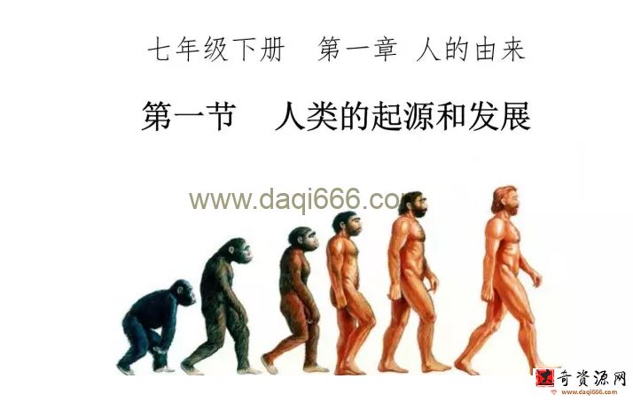 初中人教版生物七年级下册PPT课件、教案、配套资料