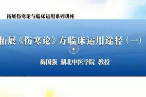 拓展《伤寒论》与临床运用：梅国强-湖北中医药大学（45讲完整版）