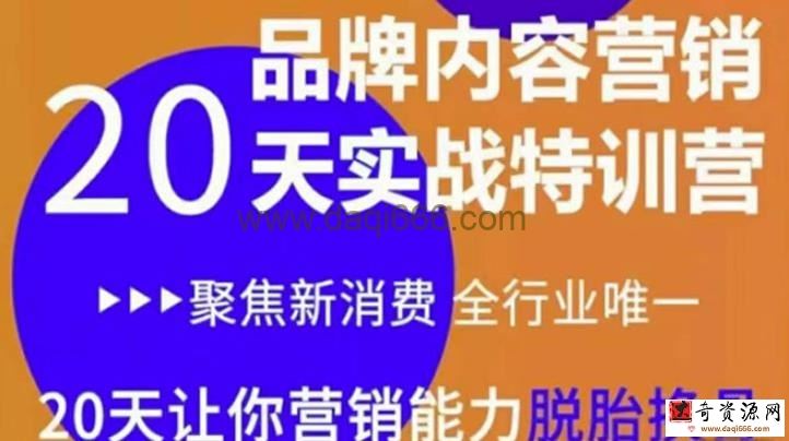《内容营销实操特训营》20天让你营销能力脱胎换骨（价值3999）