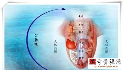 2017-18年 最新空间医学-舌诊舌相分析与对应小小方