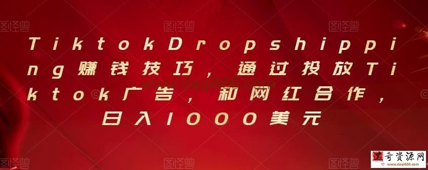 Tiktok Dropshipping赚钱技巧，通过投放Tiktok广告，和网红合作，日入1000美元
