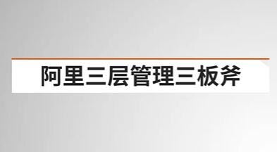 《阿里三层管理三板斧》战略性的组织执行力
