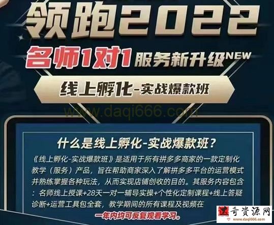 牛气学堂老陶电商【第9期】，拼多多名师线上领跑28天，线上孵化-实战爆款班