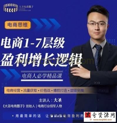 大圣：电商1-7层级盈利增长底层逻辑课（线上视频课），用简单的话，让你掌握电商盈利的底层逻辑
