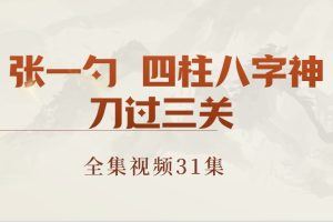 张一勺 四柱八字神刀过三关 视频31集