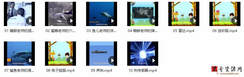 跟动物老师学发明