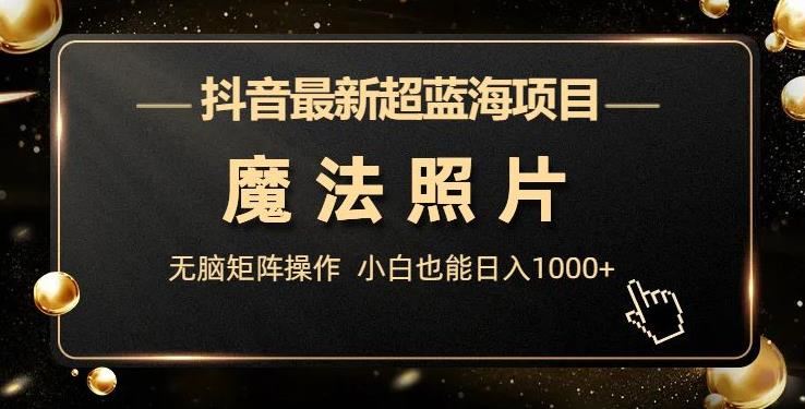 抖音最新超蓝海项目，魔法照片，无脑矩阵操作