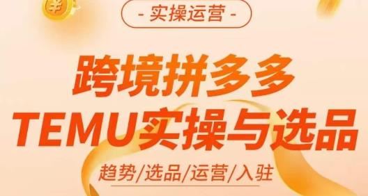 伍跃·跨境拼多多TEMU实操与选品，趋势/选品/运营/入住（27节完整）