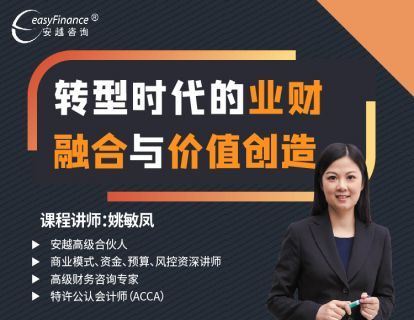 《安越咨询-转型时代的业财融合与价值创造》