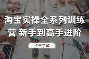 淘宝实操全系列训练营 新手到高手进阶·覆盖淘系99%知识 看透·对手 学会运营