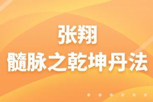 张翔髓脉之乾坤丹法（视频38讲）