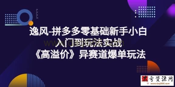 逸风-拼多多零基础新手小白入门到玩法实战《高溢价》异赛道爆单玩法实操课