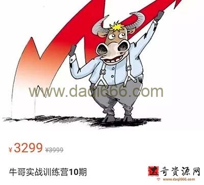 牛哥实战训练营第9期