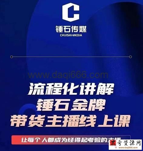 锤石传媒婉婉·金牌带货主播线上课，流程化讲解，打造金牌带货主播