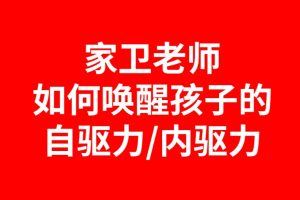 如何唤醒孩子的自驱力/内驱力