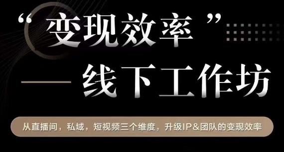变现效率线下工作坊，从直播间、私域、短视频三个维度，升级IP和团队变现效率