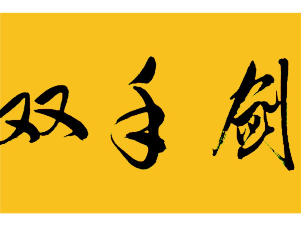 [《抖音易知课堂-零基础学双手剑》]