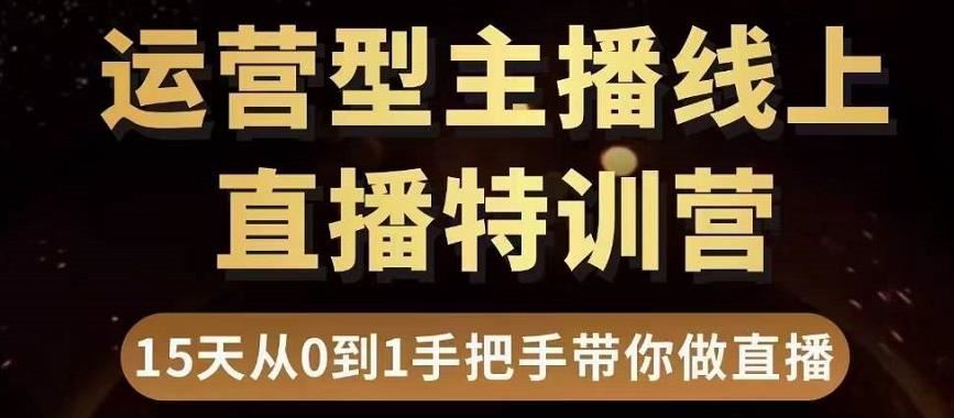 (慧哥直播电商)【慧哥推荐】运营型主播特训营【15天手把手带你做直播】
