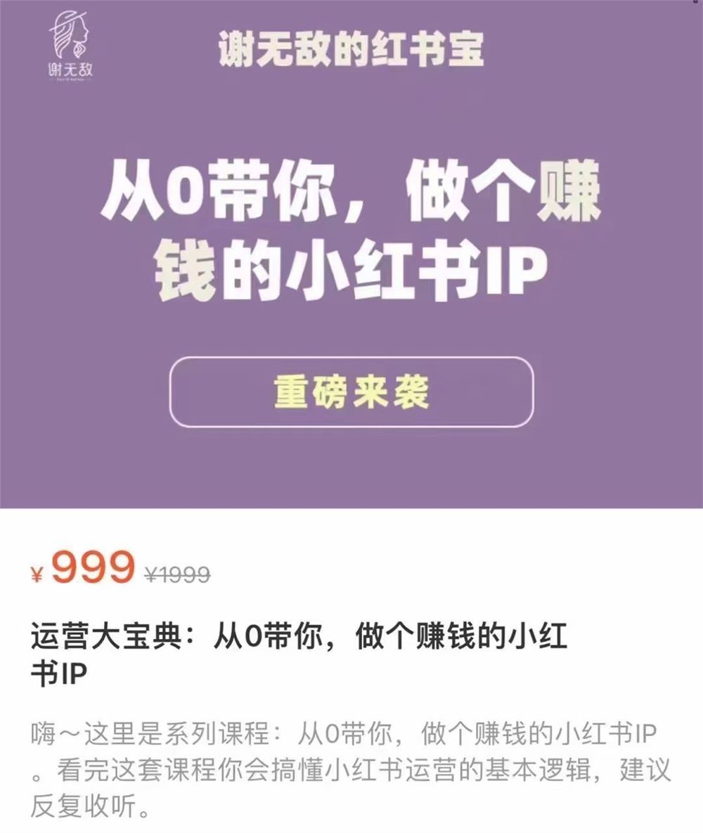 谢无敌·红薯IP运营大宝典 限时39.9???? 从0带你做个赚钱的小红书IP