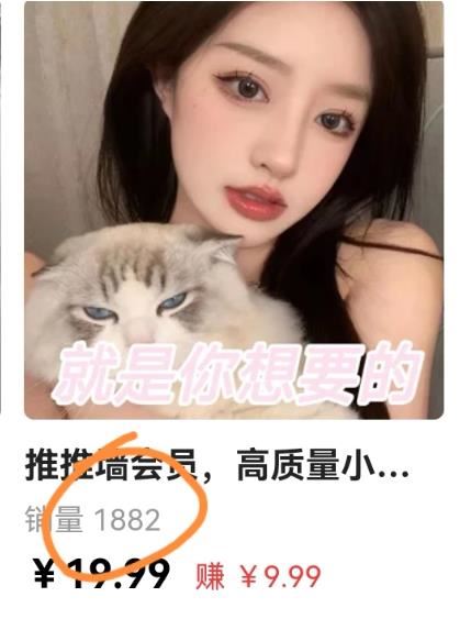 疯哥·小红书电商运营精通课，帮助新手卖家从0走向1，告别无效学习，只需这3节课
