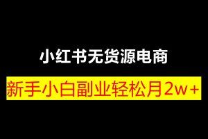 【阿本小红书无货源电商训练营】保姆级教程从0到1，3天全盘掌握，轻松日入500+