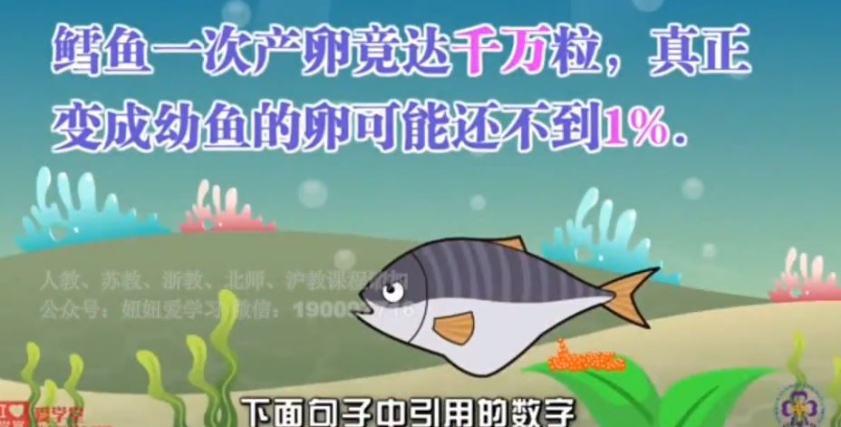 完结 清华附小爱学堂：写作小灵通23集完结